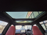 NX 250 バージョンL 4WD 4WD 本革シート