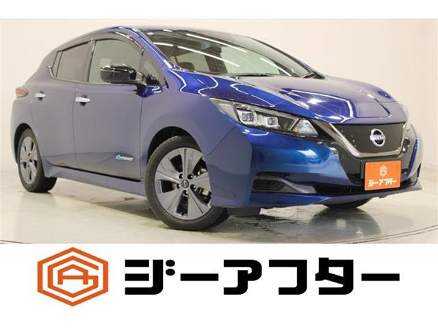 リーフ アーバンクロム BOSEプレミアムサウンドシステム 禁煙車