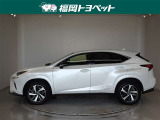 NX 300h スパイス&シック