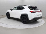 UX 250h 