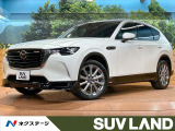 禁煙 フルエアロ 全周囲カメラ 12型ナビ レーダークルーズ フルセグ