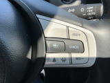 追従型クルーズコントロールスイッチです