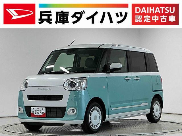 ムーヴキャンバス  ストライプス G