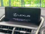 NX 300 