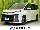 バックカメラ レーダークルーズ AC100V電源 フルセグ ETC
