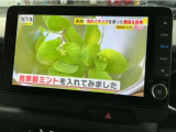 TV付きの車となっております。送迎時の待ち時間などとてもお役に立ちます。