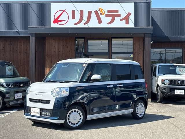 ムーヴキャンバス  ストライプス X