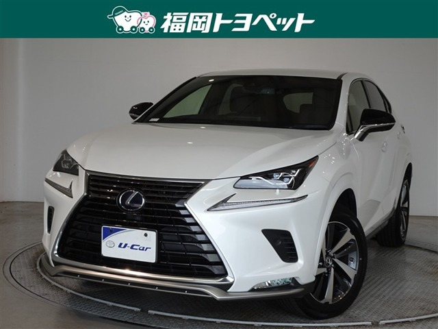 NX 300h スパイス&シック