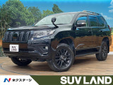 純正9インチナビ バックカメラ シートベンチレーション レーダークルーズ