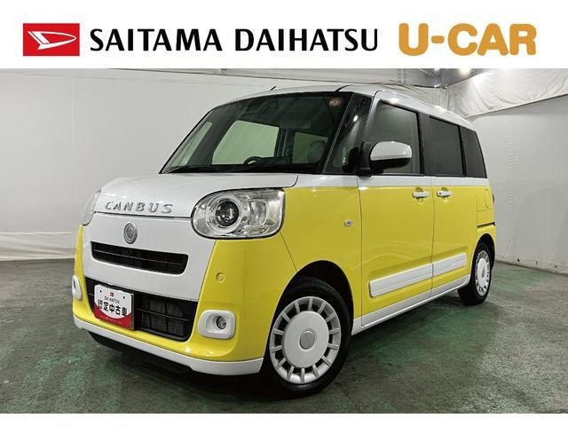 ムーヴキャンバス  ストライプス G
