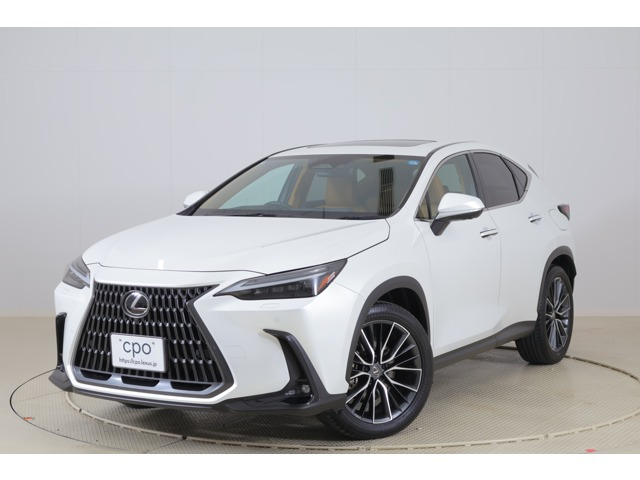 NX 250 バージョンL NX 250 バージョンL