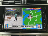 ※当店のお車はすべてご来店のお客様を最優先・先着順にてご案内しております!スムーズにご対応させて頂くためご来店予約をおすすめしております!お気軽にご連絡くださいませ!
