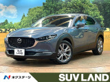 禁煙車 8型ナビ フルセグTV 全周囲カメラ パワーバックドア ETC