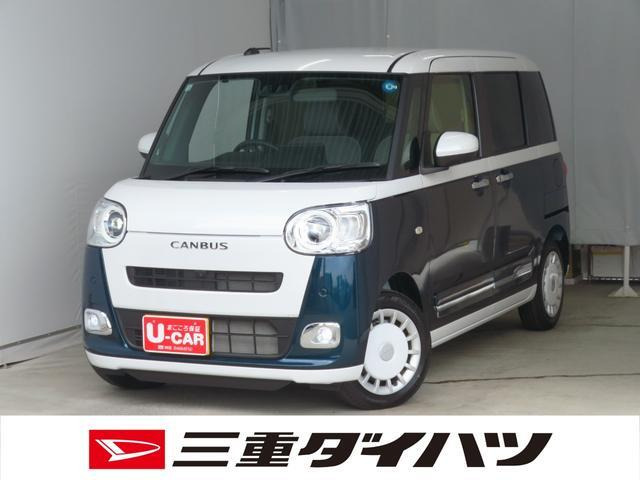 ムーヴキャンバス  ストライプス G