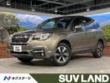 後期 純正ナビ LEDライナー ブラインドスポットモニター バックカメラ
