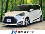 モデリスタフルエアロ BIG-X11型ナビ バックカメラ