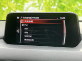 多彩なメディアに対応し、お好みの音楽を高品質で楽しめます。ラジオ、CD、USBなど、様々なソースから音楽を選曲可能です。