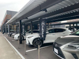 レクサス車のみを展示。まずは、レクサスを体感してください。