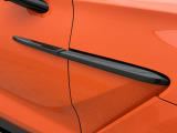 Side Strake - 2x2 Twill Gloss Carbon