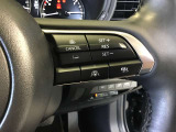 ハンドルの右側に追従機能の操作スイッチが付いています。高速道路などで、車が前の車との車間距離と速度を保ち追従していきます。高速道路でもアクセルを踏まずに運転することができるので疲労軽減できます。