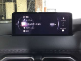 オーディオソースはこのようになっています。