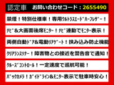 ヴェルファイア 2.5 Z ゴールデンアイズ リアモニ 両自 パワーバック