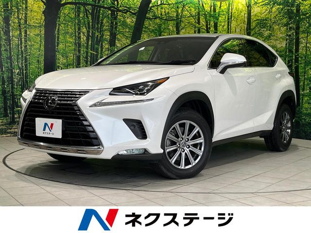NX 200t Iパッケージ 