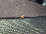 前席シートに穴が開いています