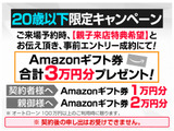 掲載画像以外の箇所が見てみたいなどご希望が御座いましたら是非お問い合わせ下さい、メールや郵送等でご希望の画像をお送りさせて頂きます。