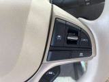 クルーズコントロールスイッチも装備されています