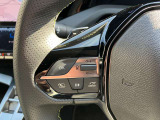 追従式のクルーズコントロール付きですので前車についていき、自動で加減速してくれます。
