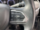 前の車両を追従してくれるアダプティプクルーズコントロールも装備されており、長距離運転の際にも便利な機能です!