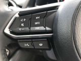 Bluetoothやハンズフリーに対応したステアリングスイッチとなります。