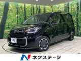 両側電動スライドドア フリップダウンモニター バックカメラ 100V電源