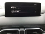 オーディオソースはこの様になっています。