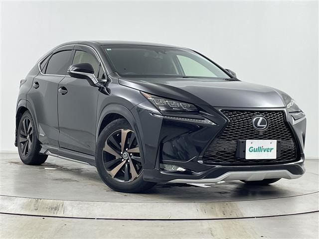 NX 300h Iパッケージ 本革シート 修復歴無し