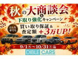 ムーヴキャンバス ストライプス Gターボ 4WD 1年保証 記録簿 修復歴無 BLITZ車高調