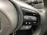 先進の安全運転支援システム、HondaSENSINGのスイッチ類。