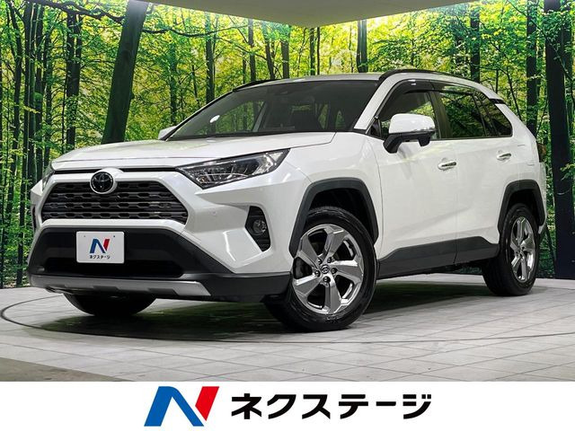 RAV4 2.0 G 4WD
