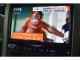 アルパイン製9インチBIG Xナビ(EX009V) フルセグTV/CD/DVD/キャンセラー/Bluetooth/USB/音楽録音/ガイドライン付バックカメラ