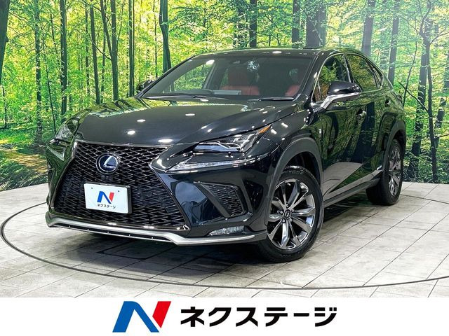NX 300h Fスポーツ 