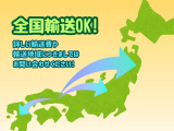 全国配送お見積もりいたします!お住まいの地域によって輸送費に違いがございますので、ご相談ください!