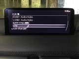 オーディオソースはこのようになっています。