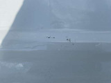 荷台に多少キズがございます。