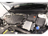 お気軽にお問い合わせください。Tel:075-325-0440 Mobile:070-2313-8676  中古車担当:時女まで