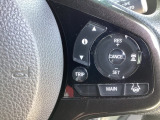 先進の安全運転支援システム、HondaSENSINGのスイッチ類。