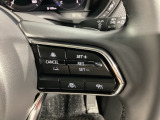 レーダークルーズコントロールは先行車との車間を維持しながら追従走行を行い、長距離でのドライバー負担を軽減させてくれます。