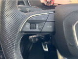 ◆ステアリングスイッチ&パドルシフト左◆