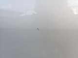 傷が気になるお客様は是非、現車を見にお越しいただければ思います。スタッフがお客様のご不安を払拭できるように誠心誠意ご案内させて頂きます。