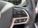 前の車両を追従してくれるアダプティプクルーズコントロールも装備されており、長距離運転の際にも便利な機能です!